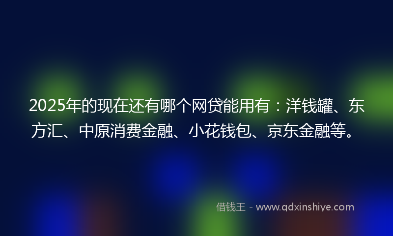 2025年的现在还有哪个网贷能用有：洋钱罐、东方汇、中原消费金融、小花钱包、京东金融等。