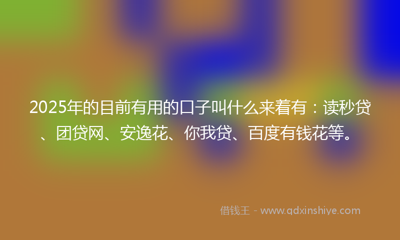 2025年的目前有用的口子叫什么来着有：读秒贷、团贷网、安逸花、你我贷、百度有钱花等。