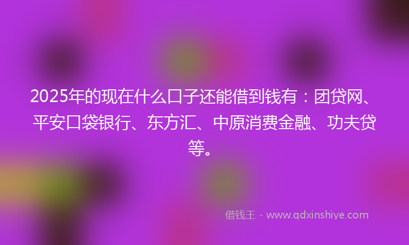 2025年的现在什么口子还能借到钱有:团贷网、平安口袋银行、东方汇、中原消费金融、功夫贷等。