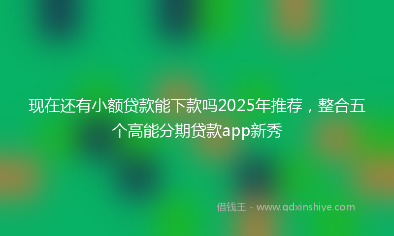 现在还有小额贷款能下款吗2025年推荐，整合五个高能分期贷款app新秀