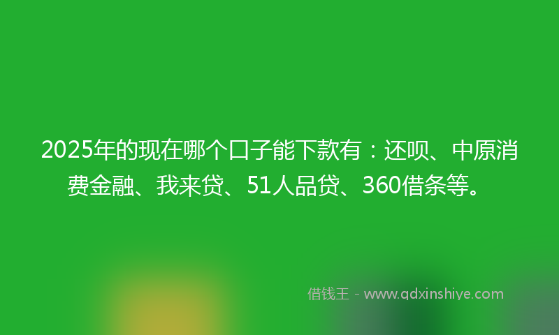 2025年的现在哪个口子能下款有：还呗、中原消费金融、我来贷、51人品贷、360借条等。