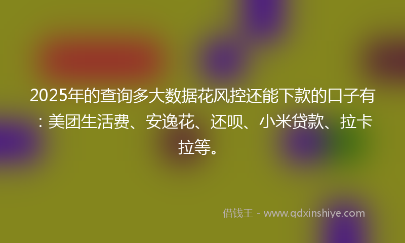 2025年的查询多大数据花风控还能下款的口子有：美团生活费、安逸花、还呗、小米贷款、拉卡拉等。