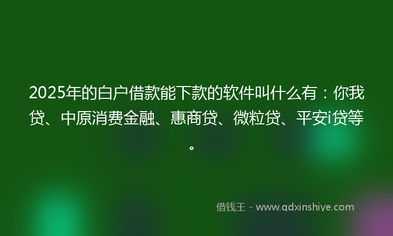 2025年的白户借款能下款的软件叫什么有：你我贷、中原消费金融、惠商贷、微粒贷、平安i贷等。