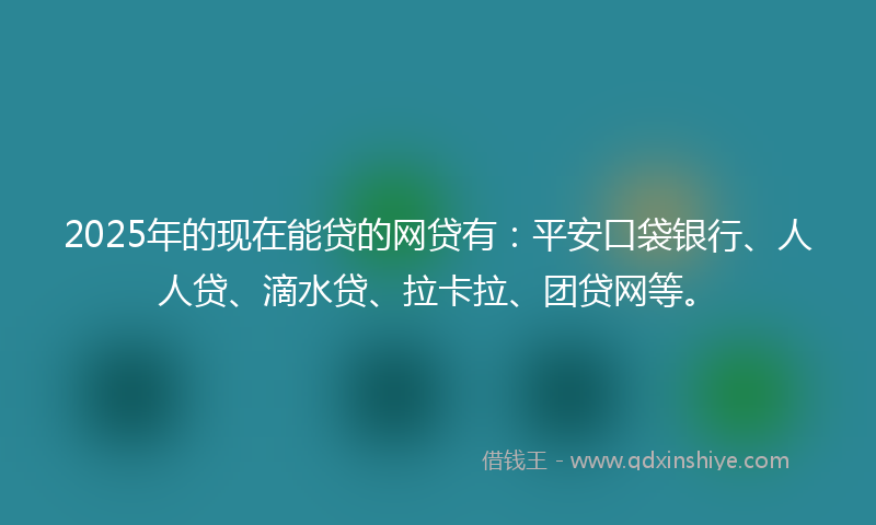 2025年的现在能贷的网贷有：平安口袋银行、人人贷、滴水贷、拉卡拉、团贷网等。