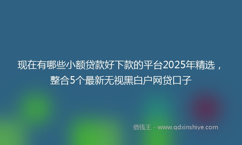 现在有哪些小额贷款好下款的平台2025年精选，整合5个最新无视黑白户网贷口子