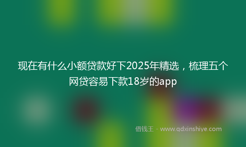 现在有什么小额贷款好下2025年精选，梳理五个网贷容易下款18岁的app