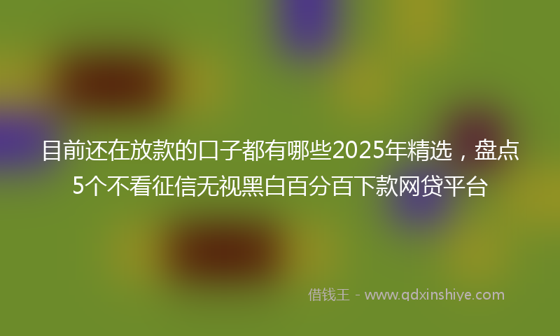 目前还在放款的口子都有哪些2025年精选，盘点5个不看征信无视黑白百分百下款网贷平台