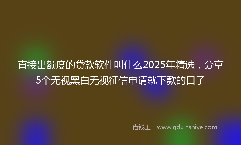 直接出额度的贷款软件叫什么2025年精选，分享5个无视黑白无视征信申请就下款的口子