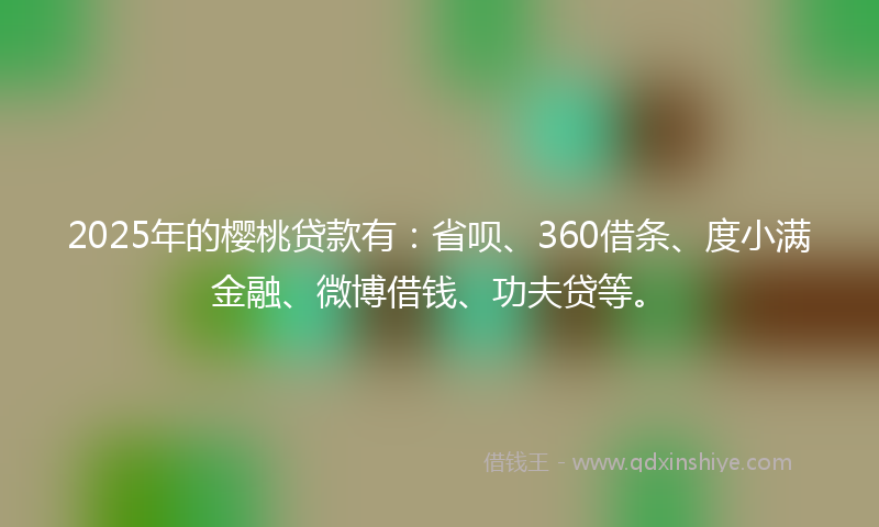 2025年的樱桃贷款有:省呗、360借条、度小满金融、微博借钱、功夫贷等。
