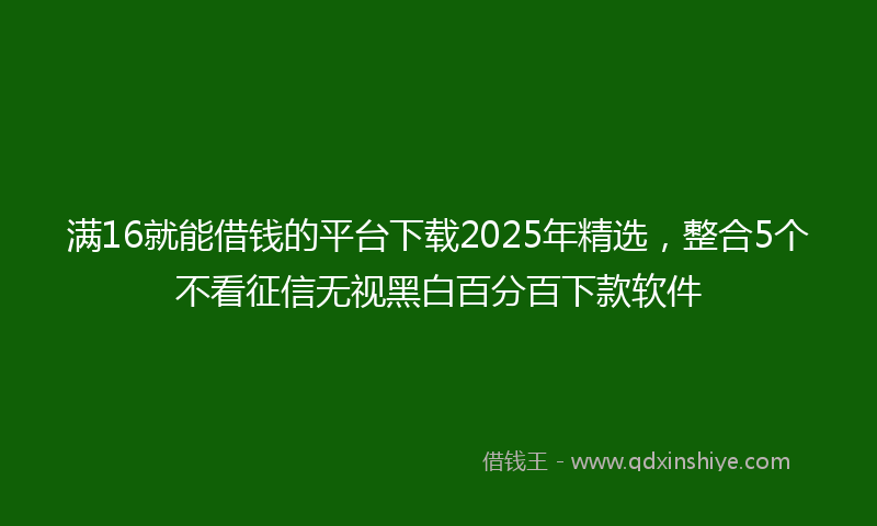 满16就能借钱的平台下载2025年精选，整合5个不看征信无视黑白百分百下款软件