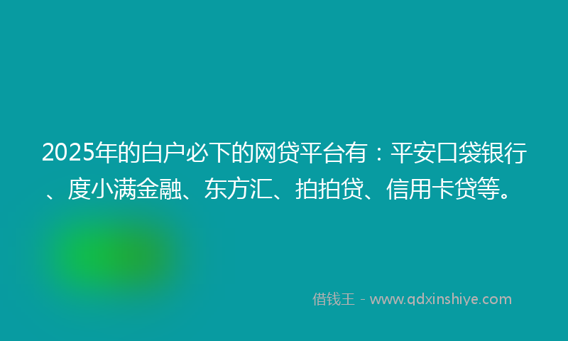 2025年的白户必下的网贷平台有：平安口袋银行、度小满金融、东方汇、拍拍贷、信用卡贷等。