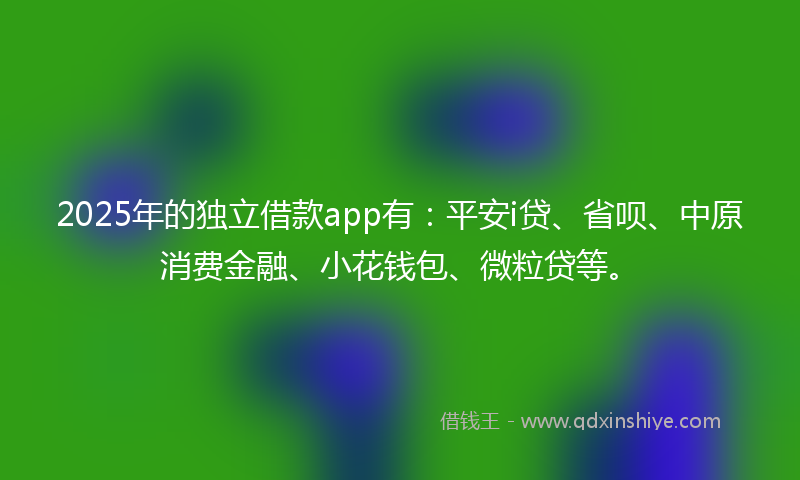 2025年的独立借款app有：平安i贷、省呗、中原消费金融、小花钱包、微粒贷等。