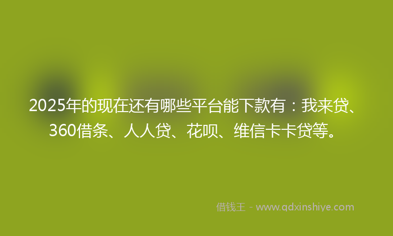 2025年的现在还有哪些平台能下款有：我来贷、360借条、人人贷、花呗、维信卡卡贷等。