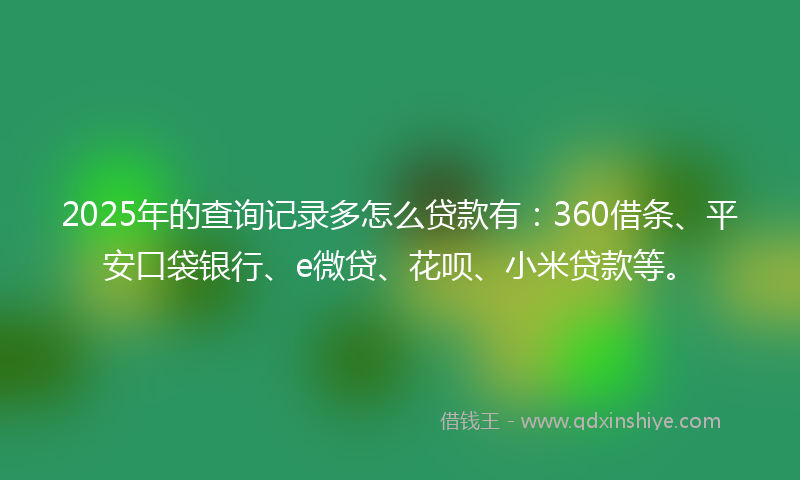 2025年的查询记录多怎么贷款有：360借条、平安口袋银行、e微贷、花呗、小米贷款等。