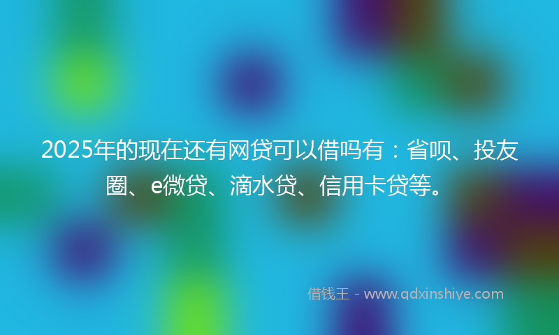 2025年的现在还有网贷可以借吗有：省呗、投友圈、e微贷、滴水贷、信用卡贷等。