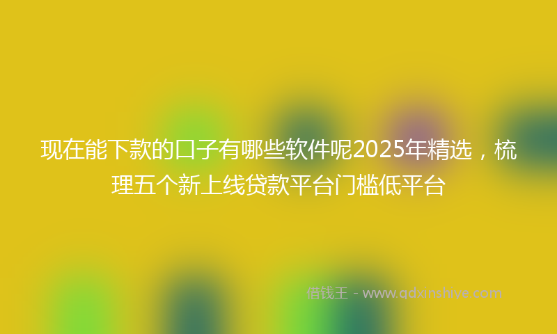现在能下款的口子有哪些软件呢2025年精选，梳理五个新上线贷款平台门槛低平台