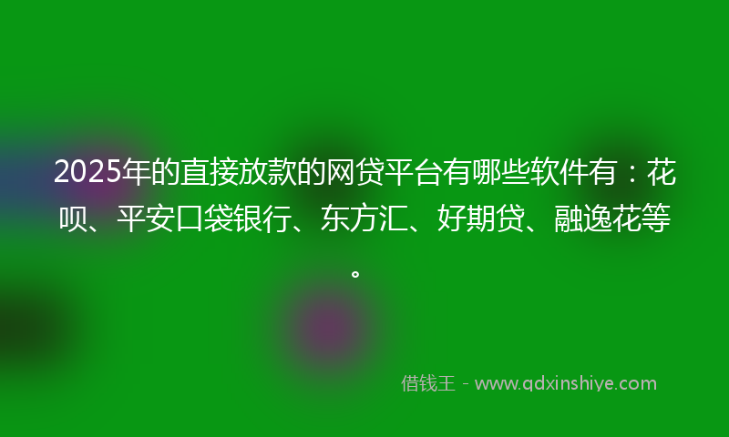 2025年的直接放款的网贷平台有哪些软件有：花呗、平安口袋银行、东方汇、好期贷、融逸花等。