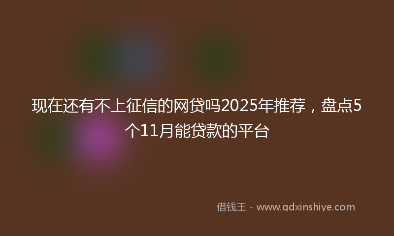 现在还有不上征信的网贷吗2025年推荐，盘点5个11月能贷款的平台