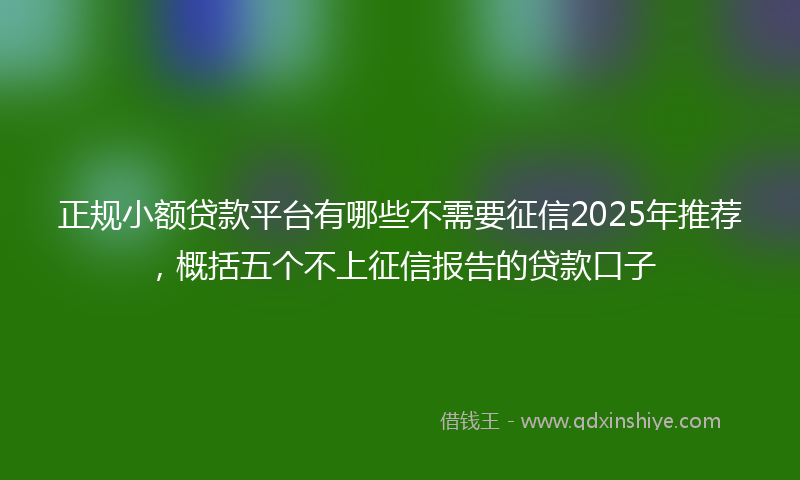 正规小额贷款平台有哪些不需要征信2025年推荐，概括五个不上征信报告的贷款口子