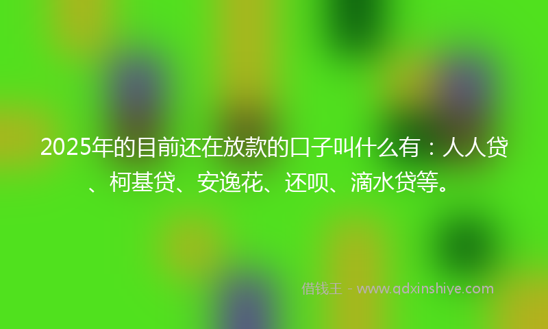 2025年的目前还在放款的口子叫什么有：人人贷、柯基贷、安逸花、还呗、滴水贷等。