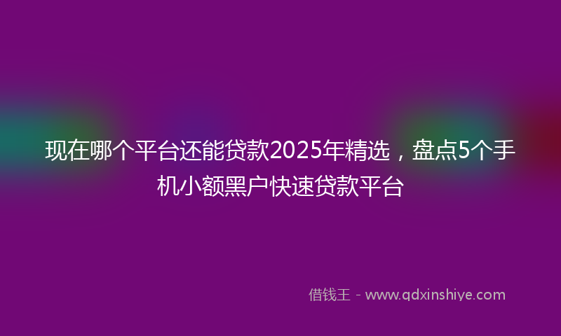 现在哪个平台还能贷款2025年精选，盘点5个手机小额黑户快速贷款平台