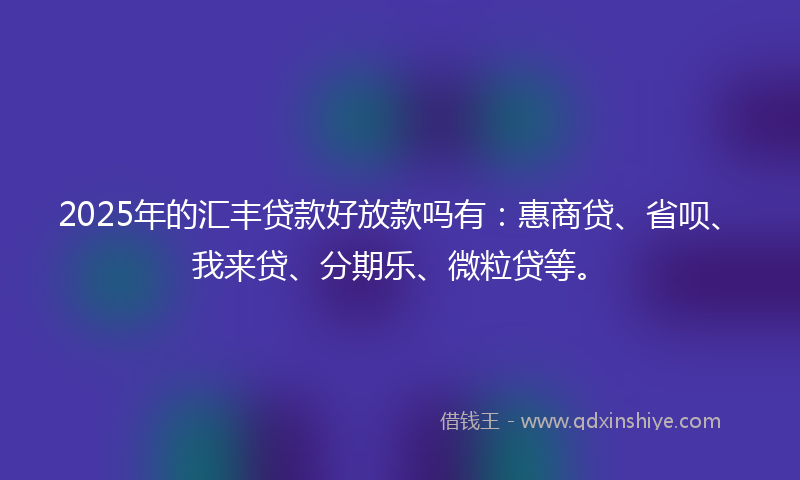 2025年的汇丰贷款好放款吗有：惠商贷、省呗、我来贷、分期乐、微粒贷等。