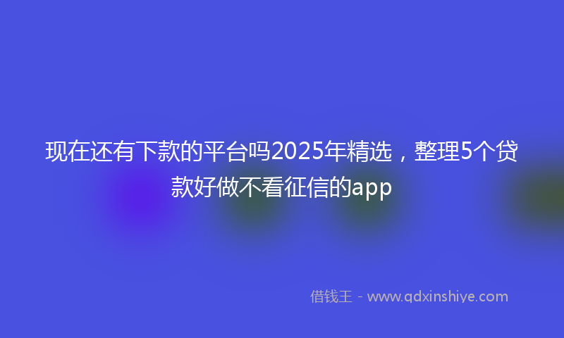 现在还有下款的平台吗2025年精选，整理5个贷款好做不看征信的app
