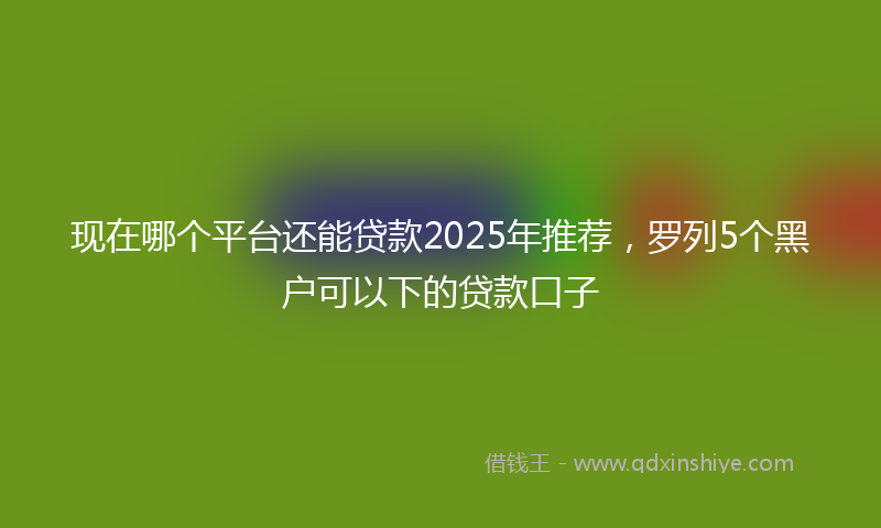 现在哪个平台还能贷款2025年推荐，罗列5个黑户可以下的贷款口子