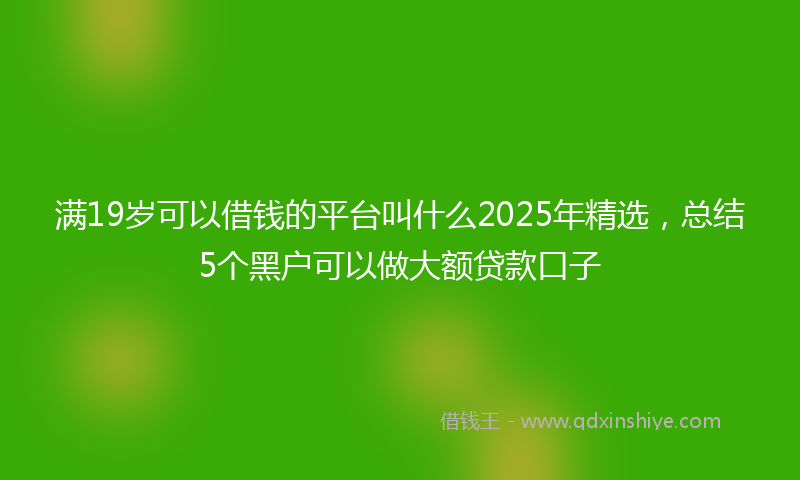 满19岁可以借钱的平台叫什么2025年精选，总结5个黑户可以做大额贷款口子