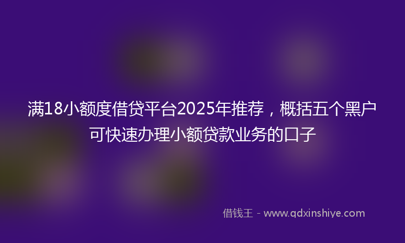 满18小额度借贷平台2025年推荐，概括五个黑户可快速办理小额贷款业务的口子