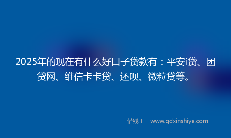 2025年的现在有什么好口子贷款有：平安i贷、团贷网、维信卡卡贷、还呗、微粒贷等。