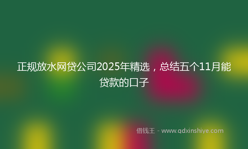 正规放水网贷公司2025年精选，总结五个11月能贷款的口子