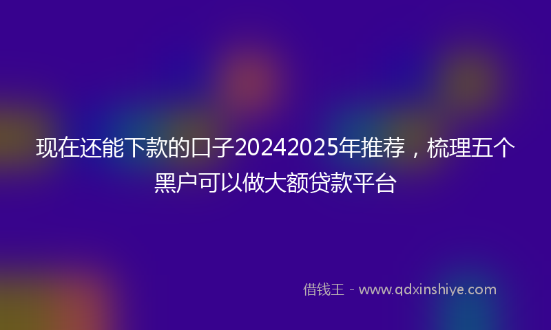 现在还能下款的口子20242025年推荐，梳理五个黑户可以做大额贷款平台