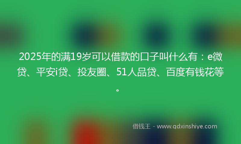 2025年的满19岁可以借款的口子叫什么有：e微贷、平安i贷、投友圈、51人品贷、百度有钱花等。