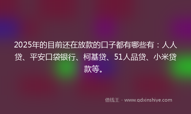 2025年的目前还在放款的口子都有哪些有：人人贷、平安口袋银行、柯基贷、51人品贷、小米贷款等。