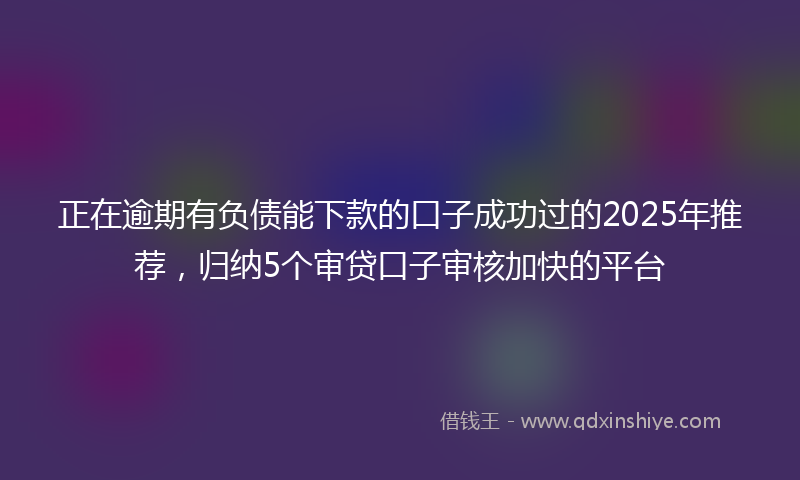 正在逾期有负债能下款的口子成功过的2025年推荐，归纳5个审贷口子审核加快的平台