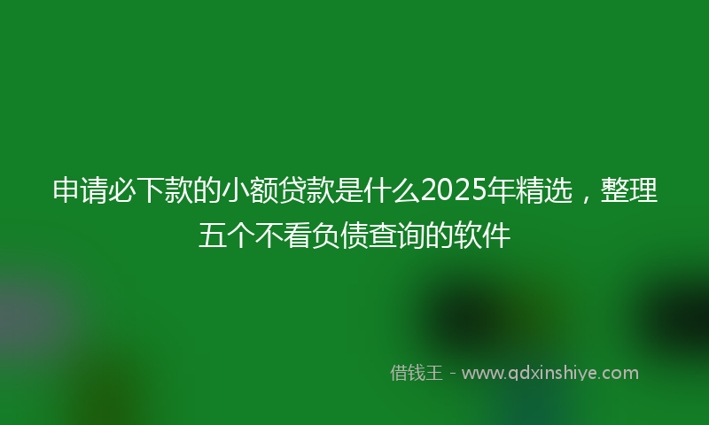 申请必下款的小额贷款是什么2025年精选，整理五个不看负债查询的软件