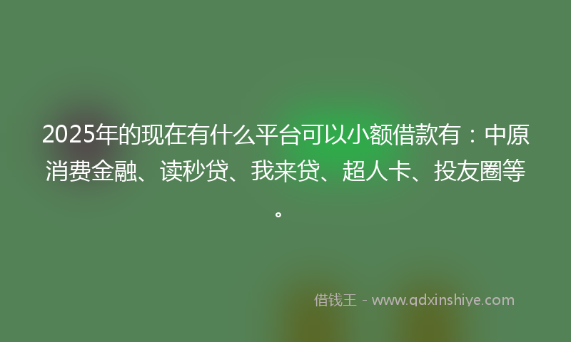 2025年的现在有什么平台可以小额借款有：中原消费金融、读秒贷、我来贷、超人卡、投友圈等。