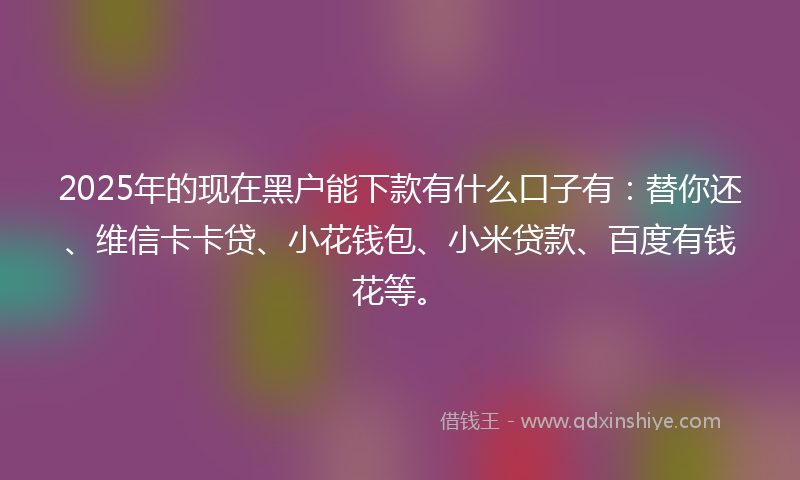 2025年的现在黑户能下款有什么口子有：替你还、维信卡卡贷、小花钱包、小米贷款、百度有钱花等。