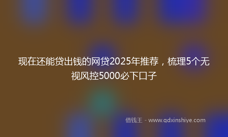 现在还能贷出钱的网贷2025年推荐,梳理5个无视风控5000必下口子