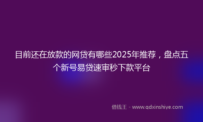 目前还在放款的网贷有哪些2025年推荐，盘点五个新号易贷速审秒下款平台