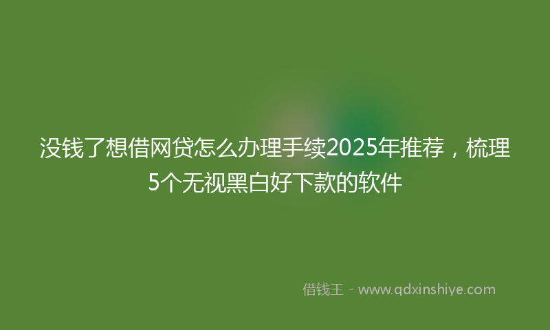 没钱了想借网贷怎么办理手续2025年推荐，梳理5个无视黑白好下款的软件