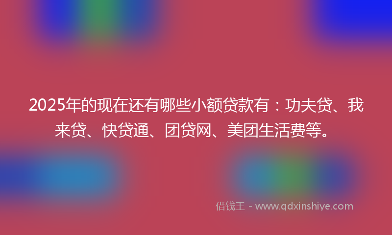 2025年的现在还有哪些小额贷款有：功夫贷、我来贷、快贷通、团贷网、美团生活费等。