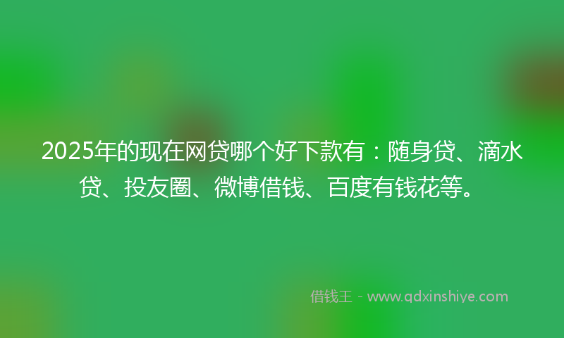 2025年的现在网贷哪个好下款有：随身贷、滴水贷、投友圈、微博借钱、百度有钱花等。