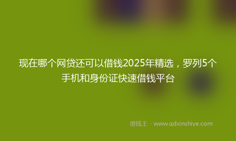 现在哪个网贷还可以借钱2025年精选，罗列5个手机和身份证快速借钱平台