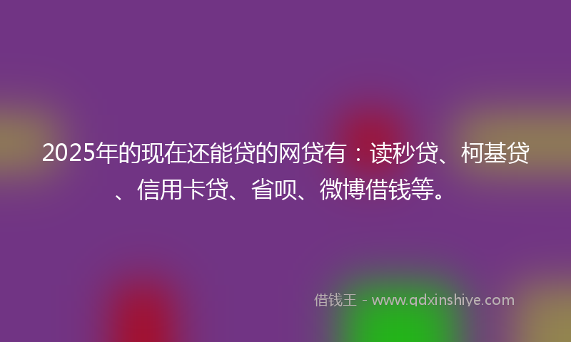 2025年的现在还能贷的网贷有：读秒贷、柯基贷、信用卡贷、省呗、微博借钱等。