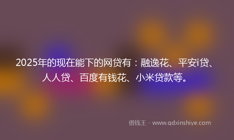 2025年的现在能下的网贷有：融逸花、平安i贷、人人贷、百度有钱花、小米贷款等。
