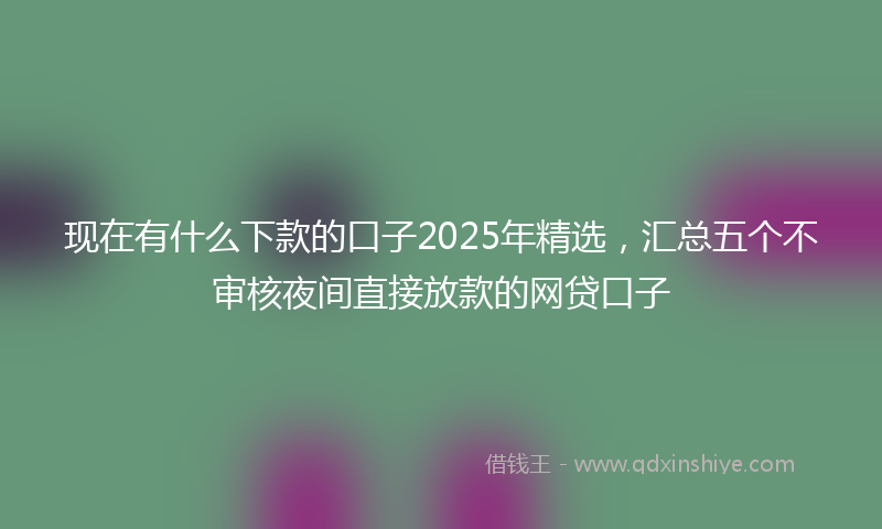 现在有什么下款的口子2025年精选，汇总五个不审核夜间直接放款的网贷口子