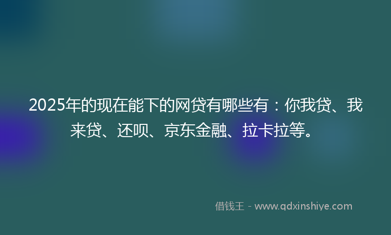 2025年的现在能下的网贷有哪些有：你我贷、我来贷、还呗、京东金融、拉卡拉等。