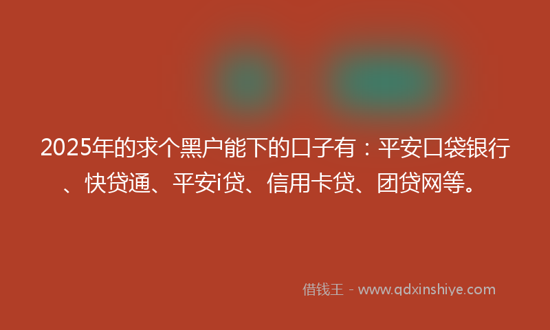 2025年的求个黑户能下的口子有：平安口袋银行、快贷通、平安i贷、信用卡贷、团贷网等。